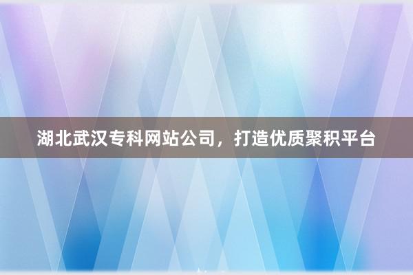 湖北武汉专科网站公司，打造优质聚积平台