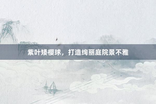 紫叶矮樱球，打造绚丽庭院景不雅