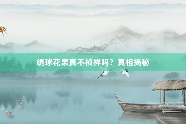绣球花果真不祯祥吗？真相揭秘